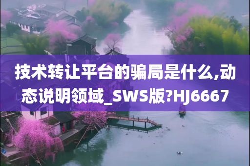 技术转让平台的骗局是什么,动态说明领域_SWS版?HJ6667