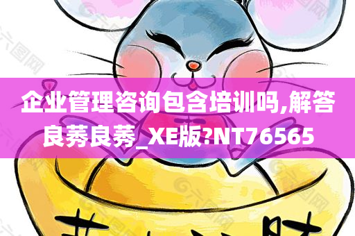 企业管理咨询包含培训吗,解答良莠良莠_XE版?NT76565