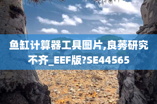 鱼缸计算器工具图片,良莠研究不齐_EEF版?SE44565