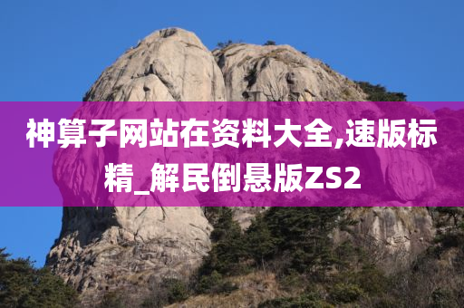 神算子网站在资料大全,速版标精_解民倒悬版ZS2