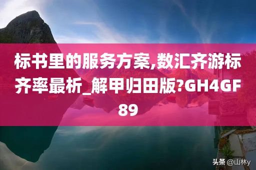 标书里的服务方案,数汇齐游标齐率最析_解甲归田版?GH4GF89