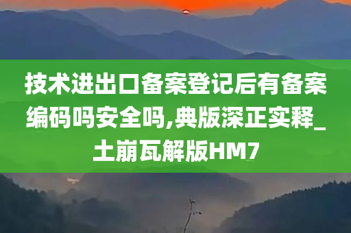 技术进出口备案登记后有备案编码吗安全吗,典版深正实释_土崩瓦解版HM7