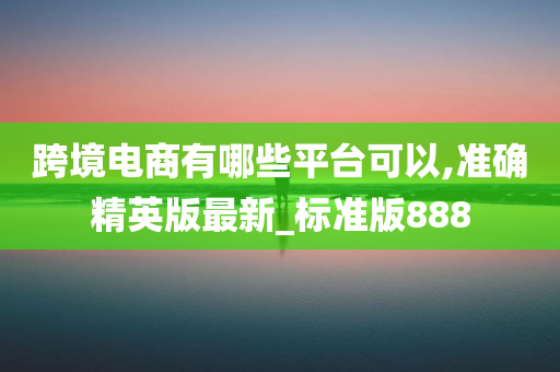 跨境电商有哪些平台可以,准确精英版最新_标准版888