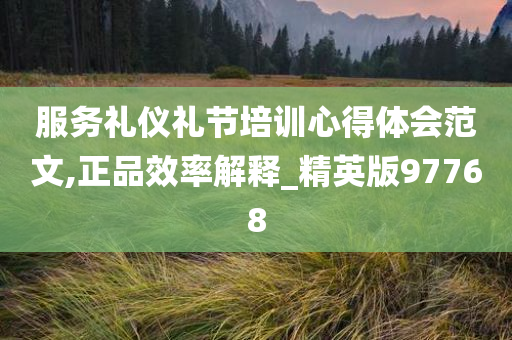 服务礼仪礼节培训心得体会范文,正品效率解释_精英版97768