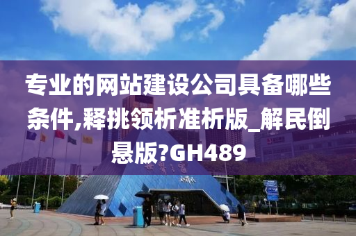 专业的网站建设公司具备哪些条件,释挑领析准析版_解民倒悬版?GH489