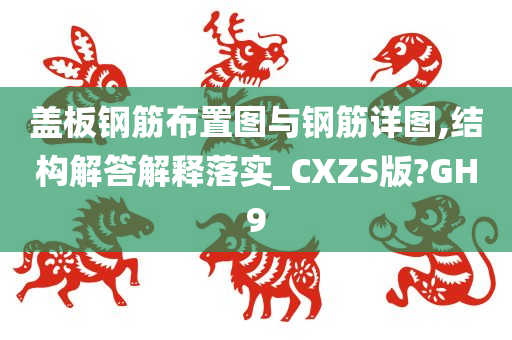 盖板钢筋布置图与钢筋详图,结构解答解释落实_CXZS版?GH9