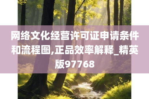 网络文化经营许可证申请条件和流程图,正品效率解释_精英版97768