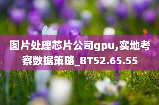 图片处理芯片公司gpu,实地考察数据策略_BT52.65.55