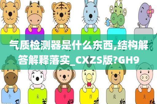 气质检测器是什么东西,结构解答解释落实_CXZS版?GH9