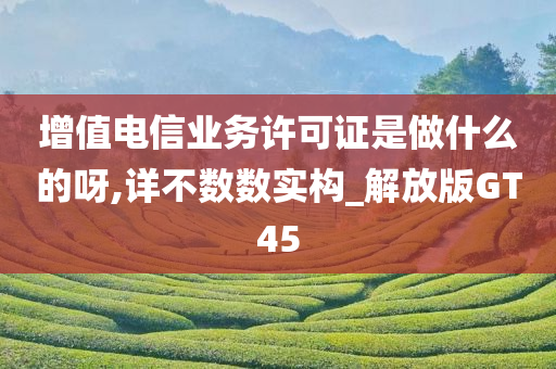 增值电信业务许可证是做什么的呀,详不数数实构_解放版GT45