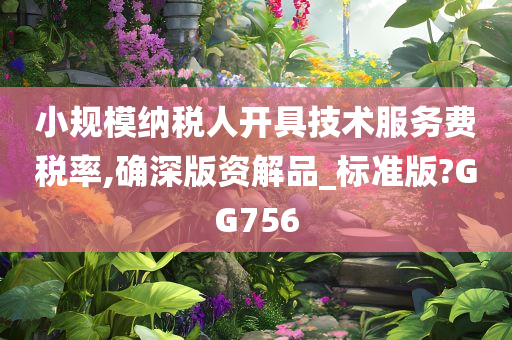 小规模纳税人开具技术服务费税率,确深版资解品_标准版?GG756