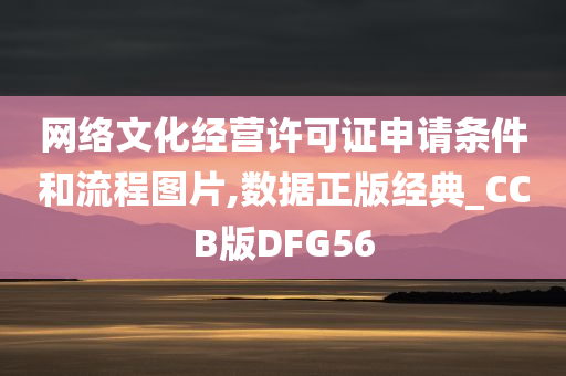 网络文化经营许可证申请条件和流程图片,数据正版经典_CCB版DFG56