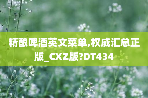 精酿啤酒英文菜单,权威汇总正版_CXZ版?DT434