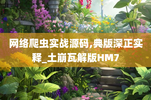 网络爬虫实战源码,典版深正实释_土崩瓦解版HM7