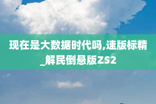 现在是大数据时代吗,速版标精_解民倒悬版ZS2