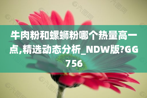 牛肉粉和螺蛳粉哪个热量高一点,精选动态分析_NDW版?GG756