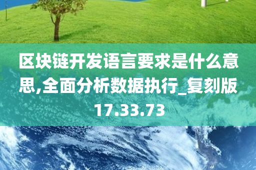 区块链开发语言要求是什么意思,全面分析数据执行_复刻版17.33.73