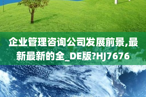 企业管理咨询公司发展前景,最新最新的全_DE版?HJ7676