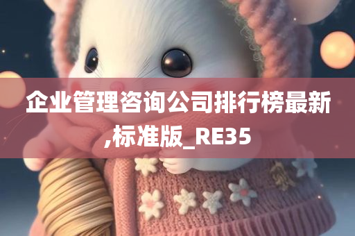 企业管理咨询公司排行榜最新,标准版_RE35