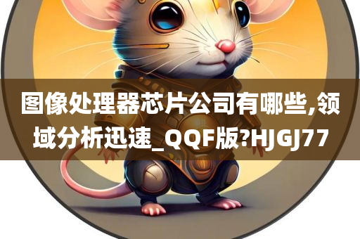 图像处理器芯片公司有哪些,领域分析迅速_QQF版?HJGJ77