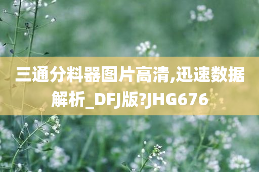 三通分料器图片高清,迅速数据解析_DFJ版?JHG676