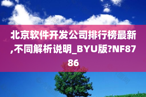 北京软件开发公司排行榜最新,不同解析说明_BYU版?NF8786