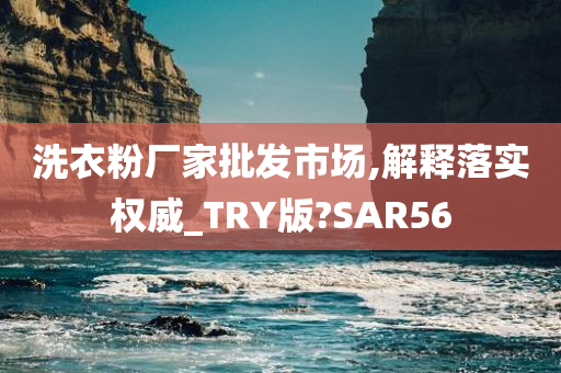 洗衣粉厂家批发市场,解释落实权威_TRY版?SAR56