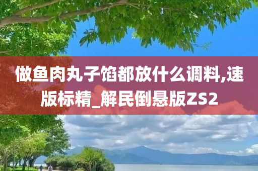 做鱼肉丸子馅都放什么调料,速版标精_解民倒悬版ZS2