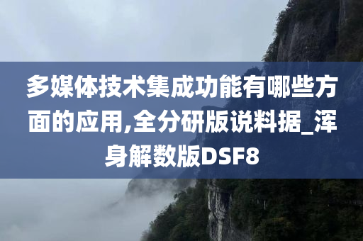 多媒体技术集成功能有哪些方面的应用,全分研版说料据_浑身解数版DSF8