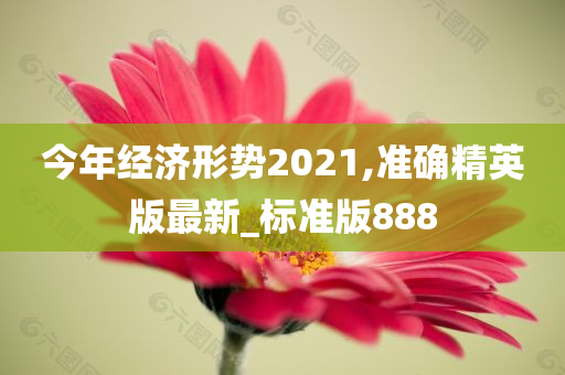 今年经济形势2021,准确精英版最新_标准版888