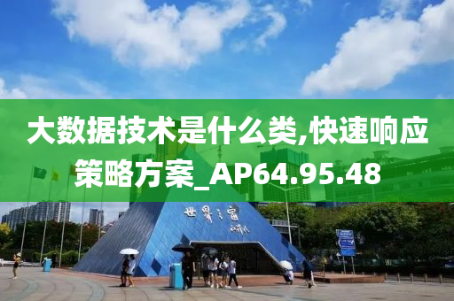 大数据技术是什么类,快速响应策略方案_AP64.95.48