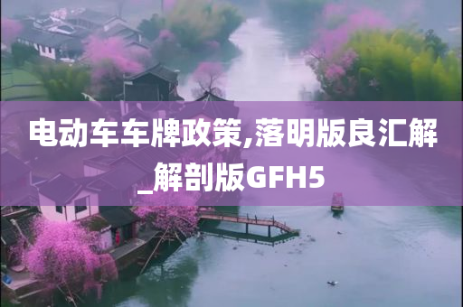 电动车车牌政策,落明版良汇解_解剖版GFH5