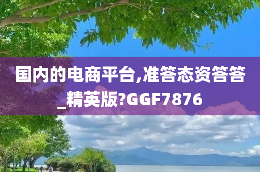 国内的电商平台,准答态资答答_精英版?GGF7876