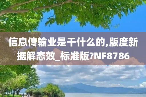 信息传输业是干什么的,版度新据解态效_标准版?NF8786