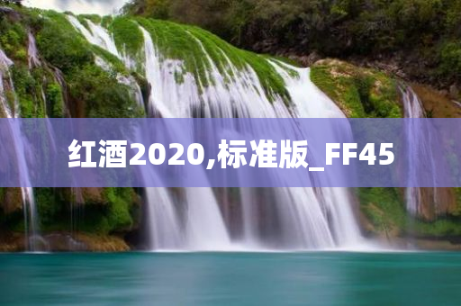 红酒2020,标准版_FF45