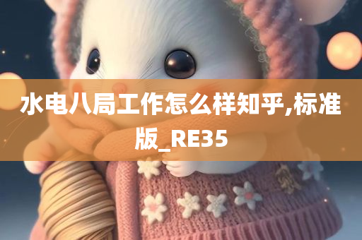 水电八局工作怎么样知乎,标准版_RE35