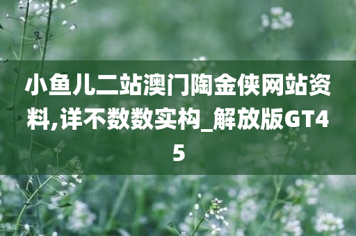 小鱼儿二站澳门陶金侠网站资料,详不数数实构_解放版GT45