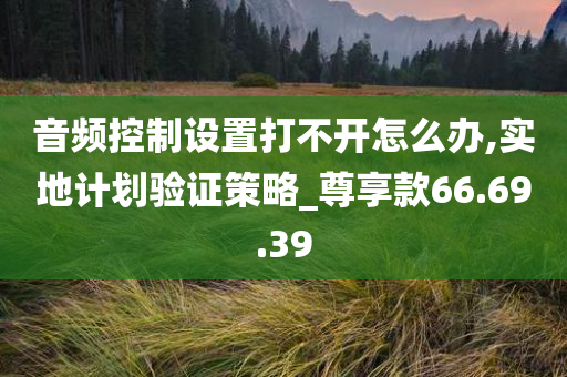 音频控制设置打不开怎么办,实地计划验证策略_尊享款66.69.39