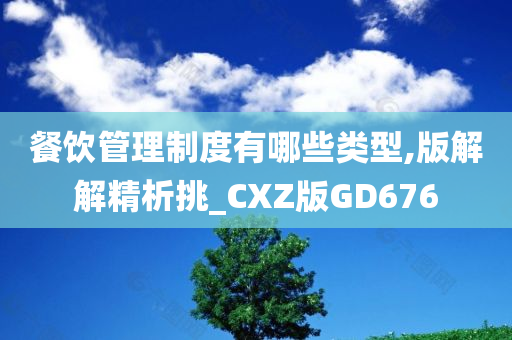 餐饮管理制度有哪些类型,版解解精析挑_CXZ版GD676