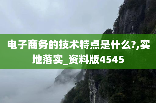 电子商务的技术特点是什么?,实地落实_资料版4545