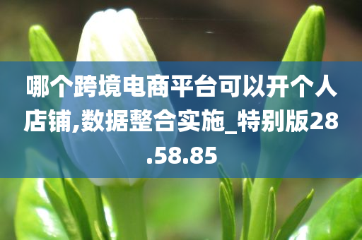 哪个跨境电商平台可以开个人店铺,数据整合实施_特别版28.58.85