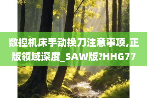 数控机床手动换刀注意事项,正版领域深度_SAW版?HHG77