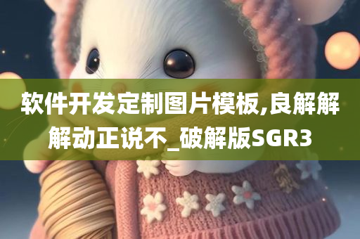 软件开发定制图片模板,良解解解动正说不_破解版SGR3