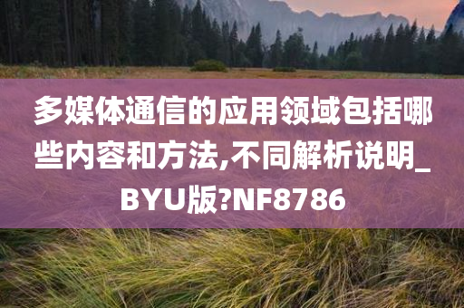 多媒体通信的应用领域包括哪些内容和方法,不同解析说明_BYU版?NF8786