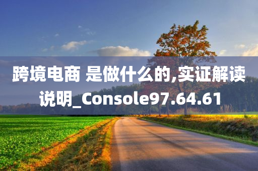 跨境电商 是做什么的,实证解读说明_Console97.64.61