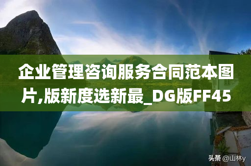 企业管理咨询服务合同范本图片,版新度选新最_DG版FF45