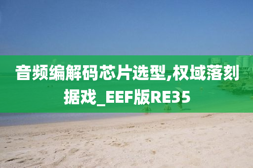 音频编解码芯片选型,权域落刻据戏_EEF版RE35