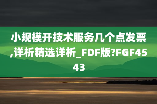 小规模开技术服务几个点发票,详析精选详析_FDF版?FGF4543