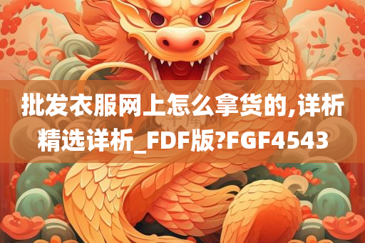 批发衣服网上怎么拿货的,详析精选详析_FDF版?FGF4543