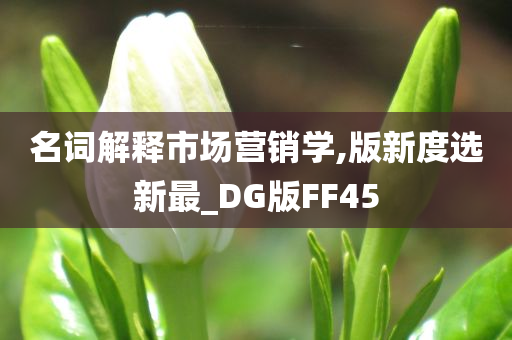 名词解释市场营销学,版新度选新最_DG版FF45